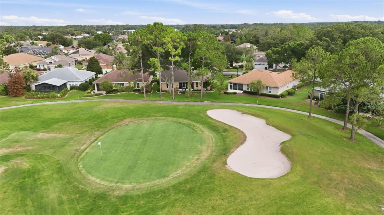 7029 Pine Hollow Drive , Mount Dora, FL 32757 Photo
