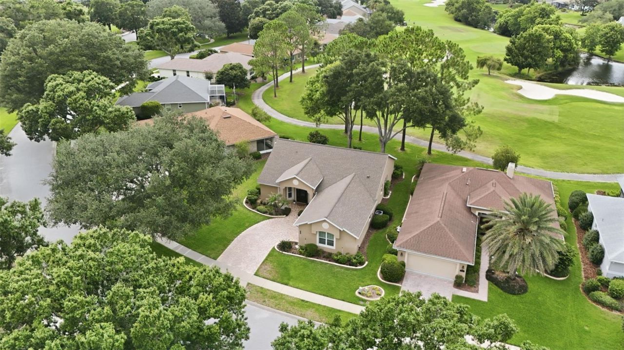 7029 Pine Hollow Drive , Mount Dora, FL 32757 Photo