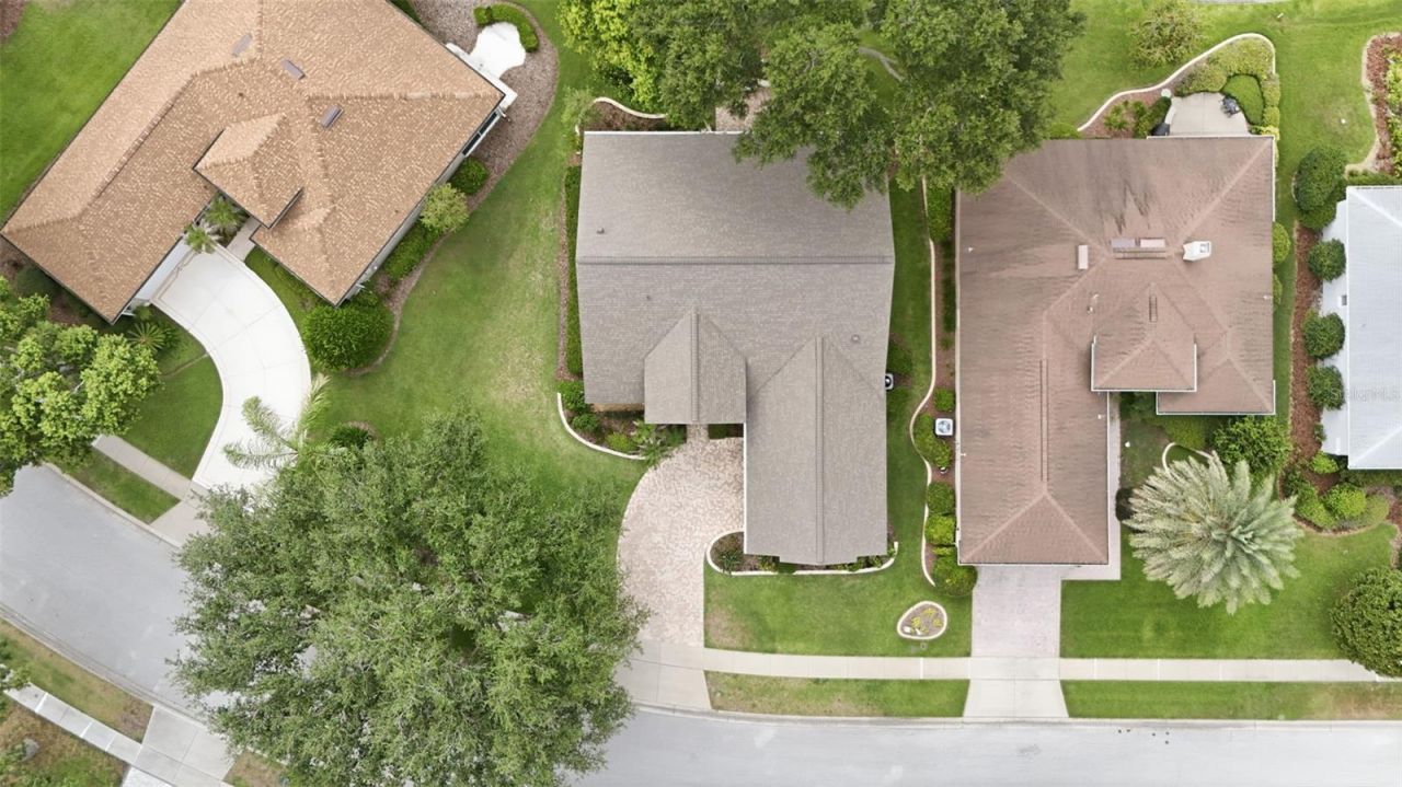 7029 Pine Hollow Drive , Mount Dora, FL 32757 Photo