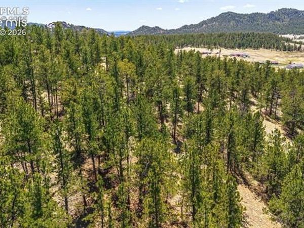 56 Dallas Park Circle, Florissant, CO 80816