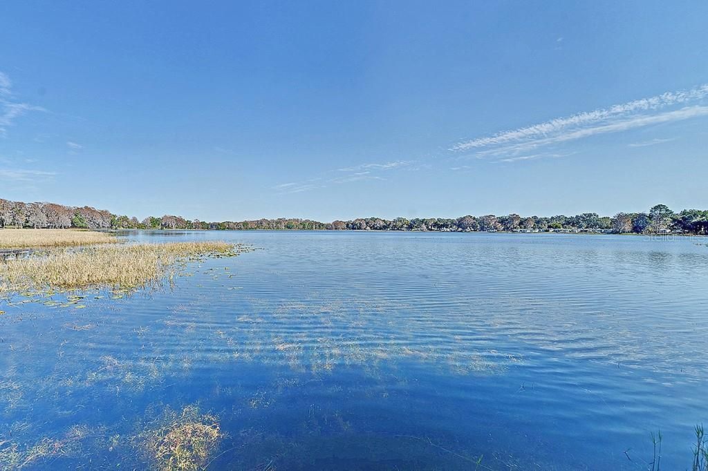 426 Ella Avenue , Inverness, FL 34450 Photo