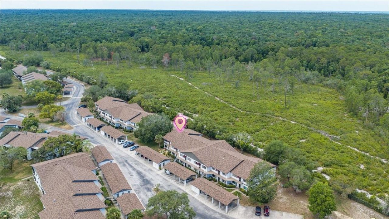 6653 River Run Boulevard, Unit 6653, Weeki Wachee, FL 34607 Photo