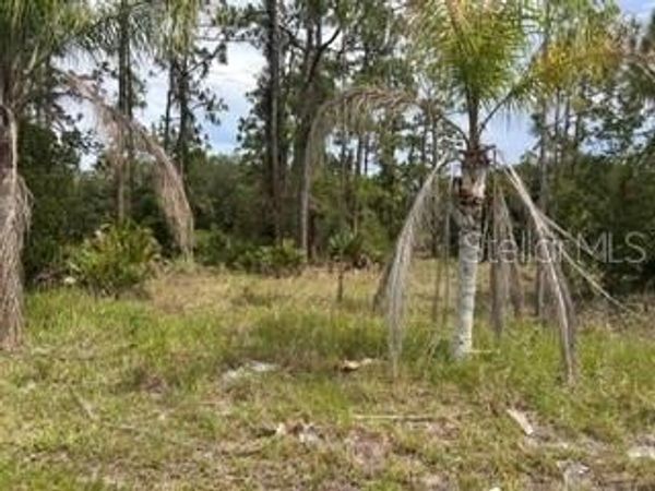 823 PANDORA (BLK 217 LOT 13) DRIVE , INDIAN LAKE ESTATES, FL 33855