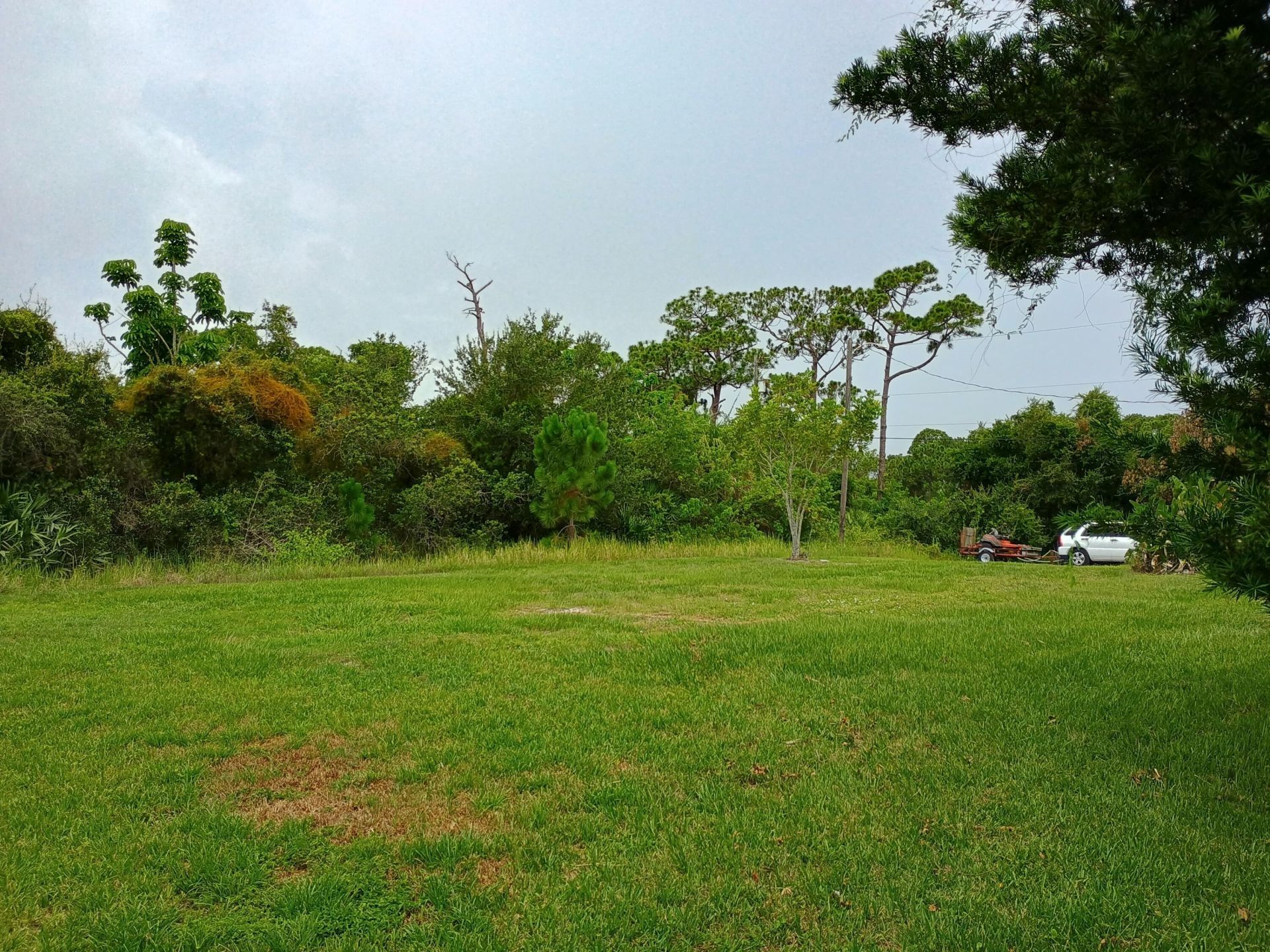 1512 NE Dove Avenue, Stuart, FL 34994 Photo