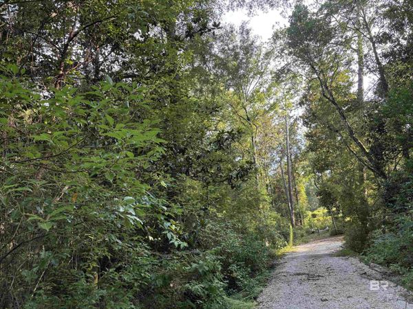 1.62 Acres Sweet Magnolia Lane, Magnolia Springs, AL 36555