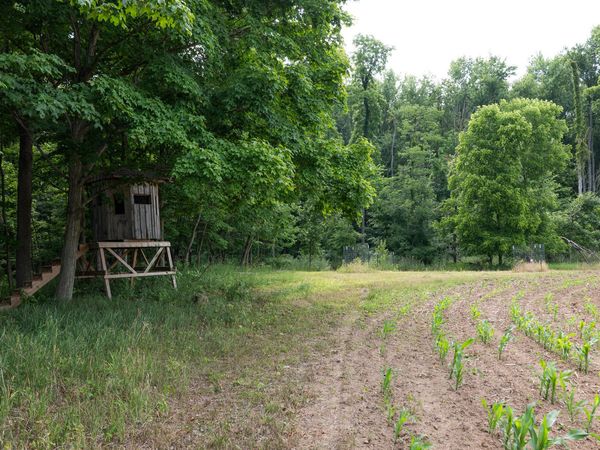 3282 Jerome Road N, North Adams, MI 49262