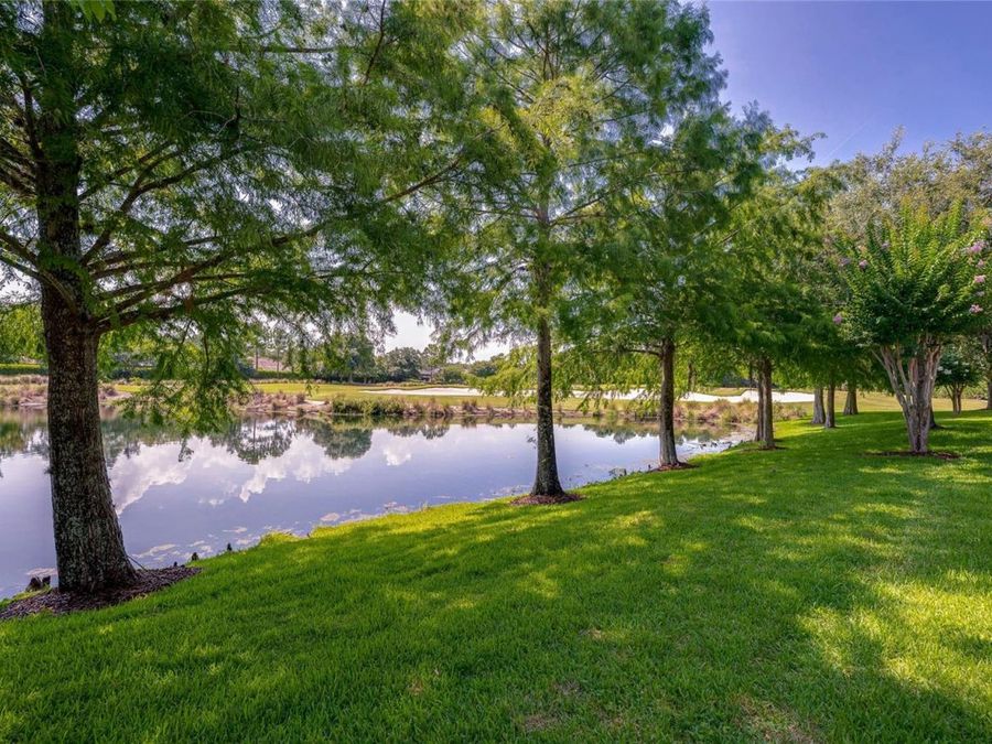 Property Image 59