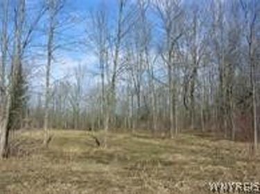 4455 S Ayers Road, Akron, NY 14001