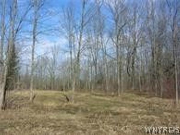 4455 S Ayers Road, Akron, NY 14001