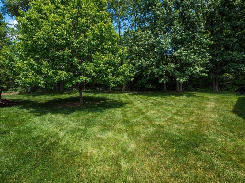 2500 Tevis Ann Court, Dublin, OH 43016 Photo 6