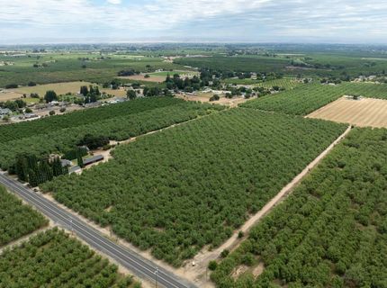 22342 Henry Rd, Escalon, CA 95320 Photo
