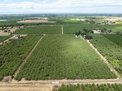22342 Henry Rd, Escalon, CA 95320 Photo