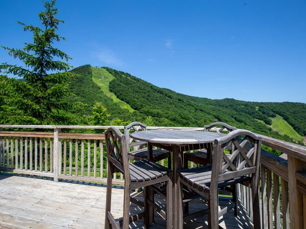 68 Upper Sundog Drive, Unit 20B, Killington, VT 05751