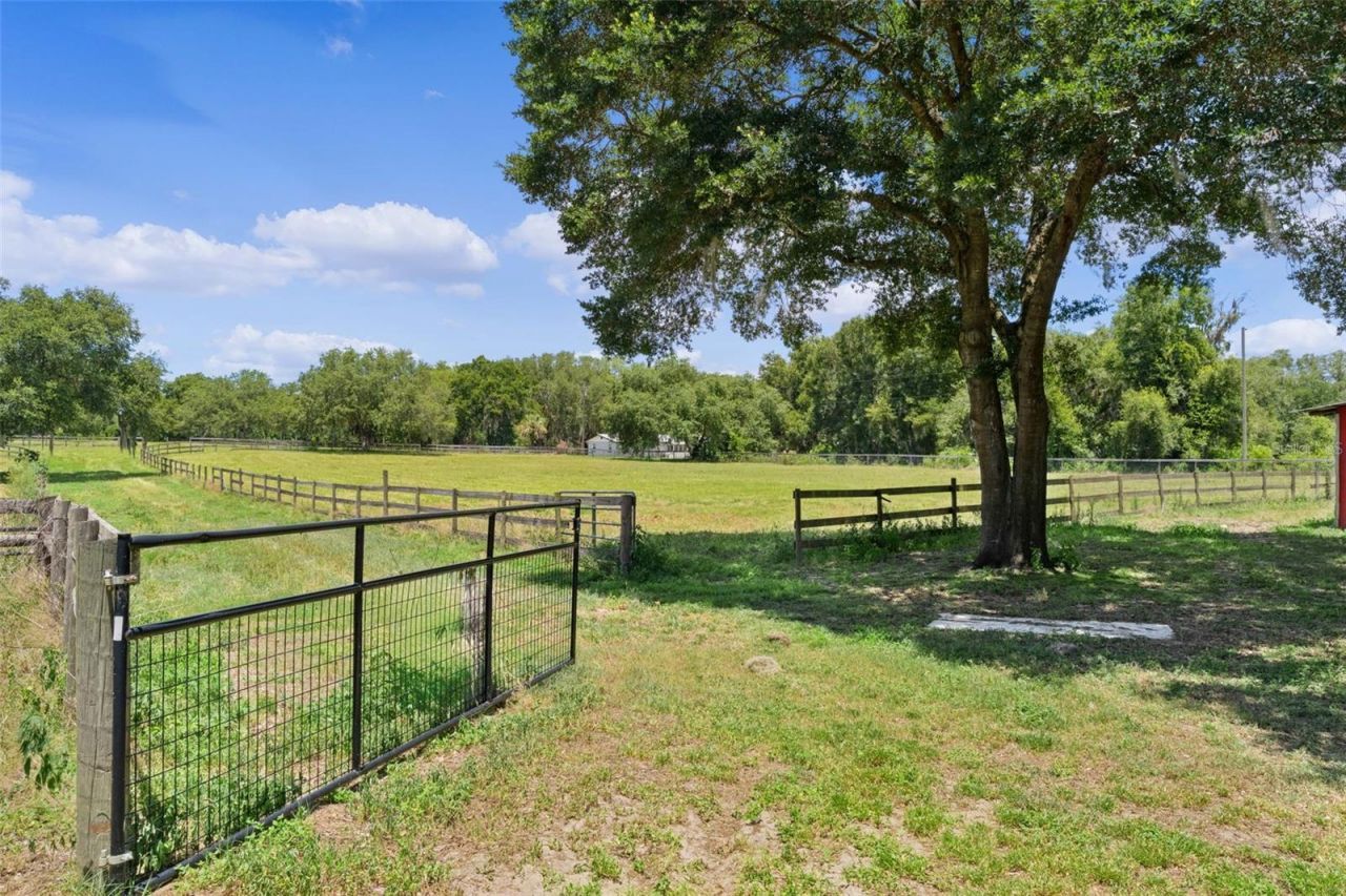 13691 S Hwy 25 , Eastlake Weir, FL 32133 Photo