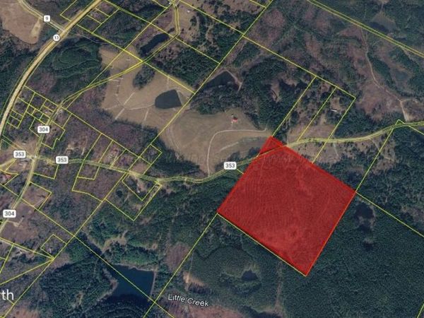 752 COUNTY ROAD 353, Lynn, AL 35575