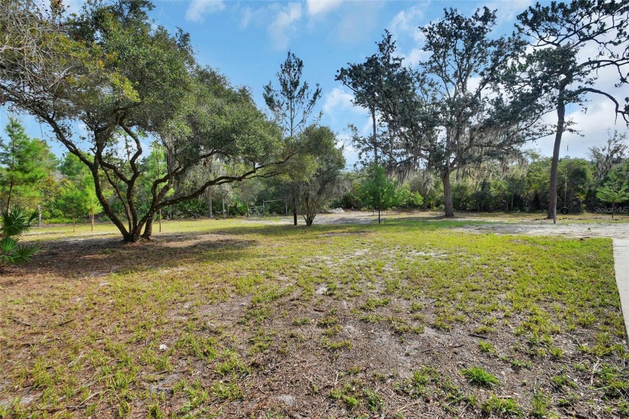 1251 Seminole Drive , De Leon Springs, FL 32130 Photo