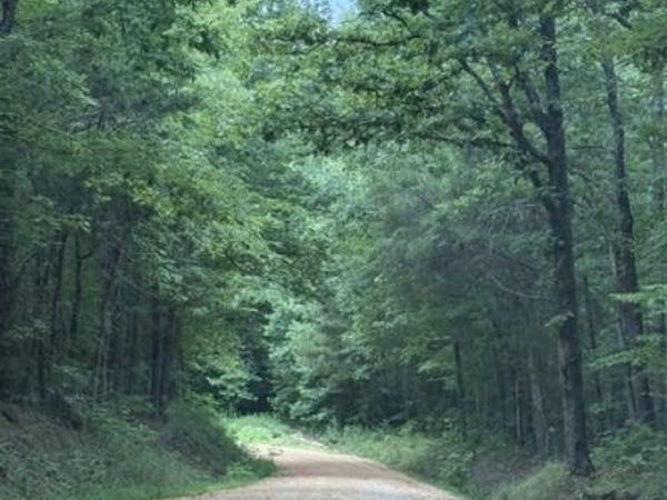 0 Old State Highway 69 , Sugar Tree, TN 38380