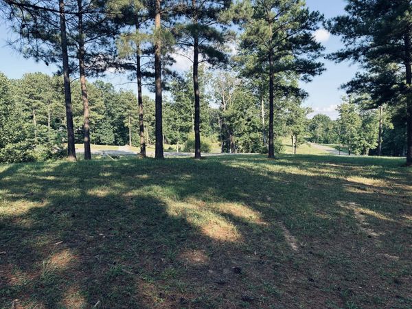 0 Raulston Falls Road , Jasper, TN 37347