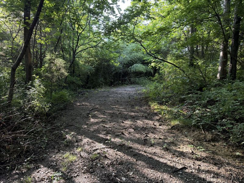 000 Wild Deer Lane, Corinth, KY 41010 Photo 10