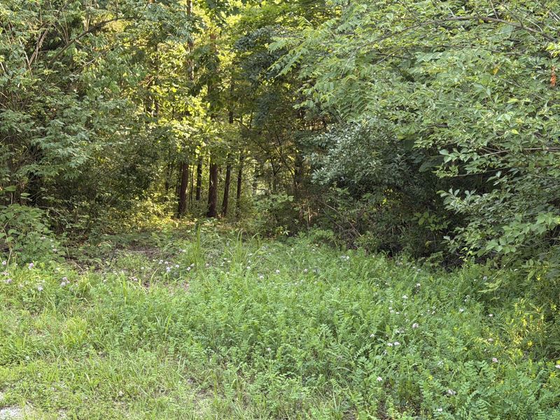 000 Wild Deer Lane, Corinth, KY 41010 Photo 15