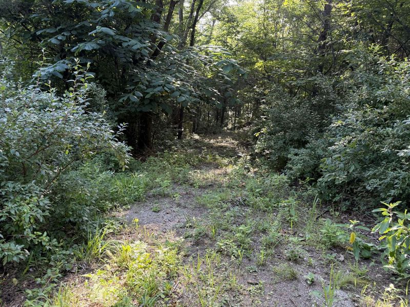 000 Wild Deer Lane, Corinth, KY 41010 Photo 16
