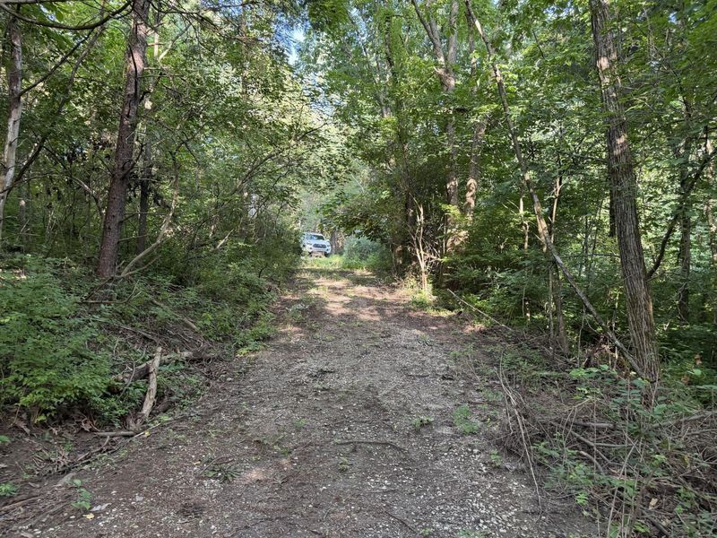 000 Wild Deer Lane, Corinth, KY 41010 Photo 17