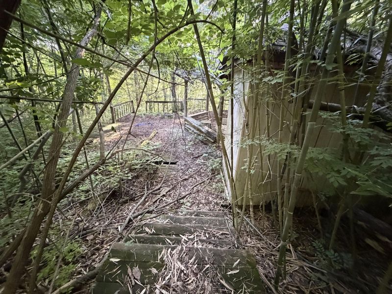 000 Wild Deer Lane, Corinth, KY 41010 Photo 20