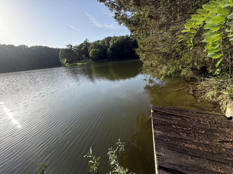 000 Wild Deer Lane, Corinth, KY 41010 Photo 3