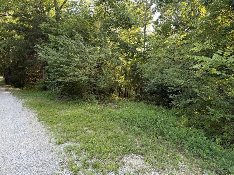 000 Wild Deer Lane, Corinth, KY 41010 Photo 5