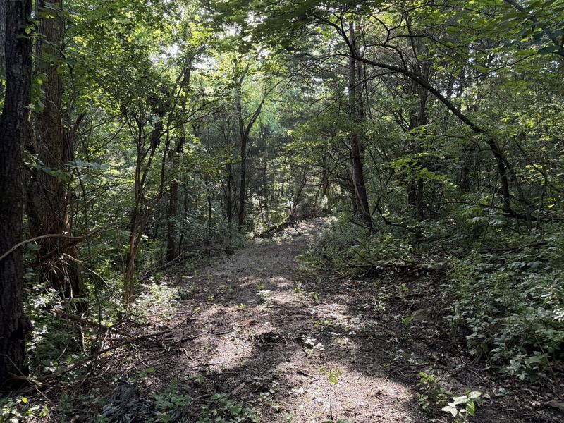 000 Wild Deer Lane, Corinth, KY 41010 Photo 8