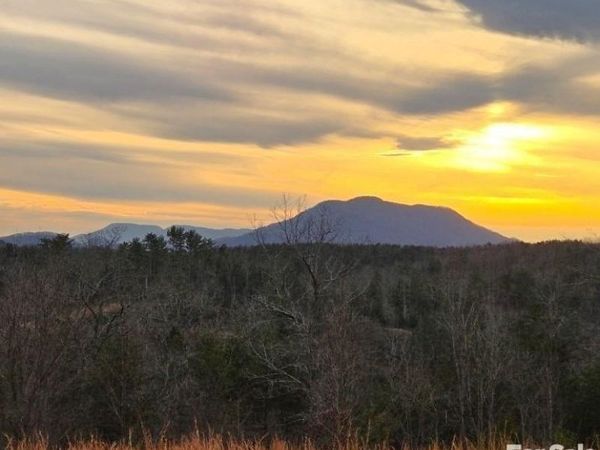 LOT #1 Price Summit Way , Mill Spring, NC 28756