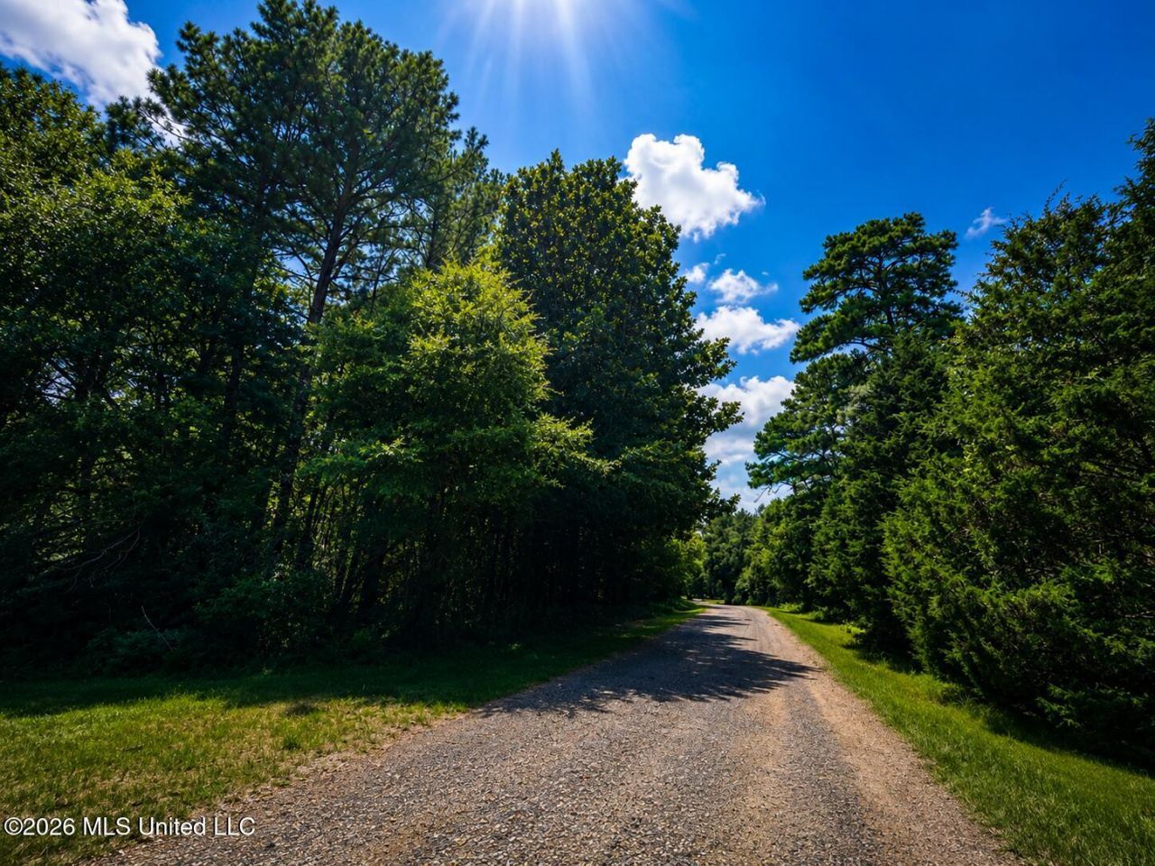 Shelton Cedar Road, Moselle, MS 39459 Main Photo