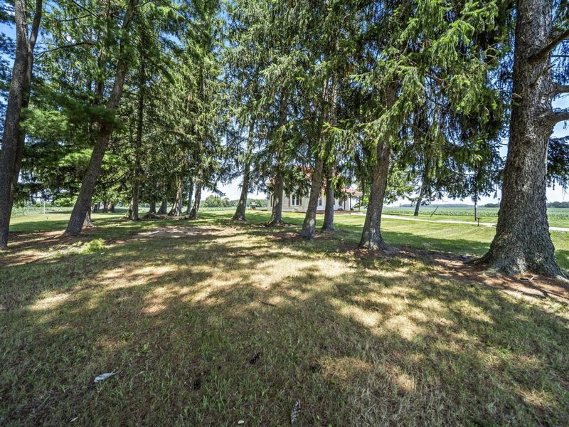 14977 State Highway 231, Nevada, OH 44849 Photo 63