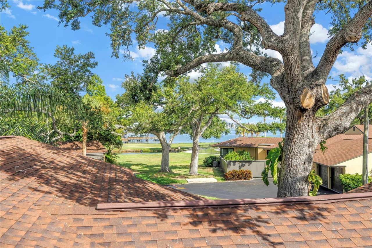 13300 Indian Rocks Road , Unit 103, Largo, FL 33774 Photo
