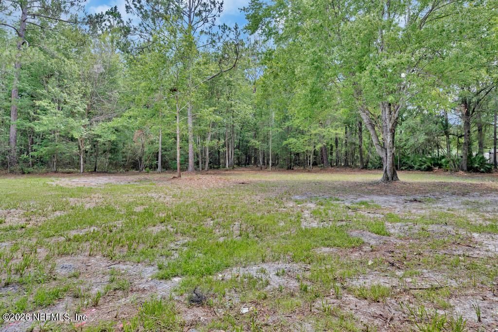 2009 Catherine Lane, Middleburg, FL 32068 Photo