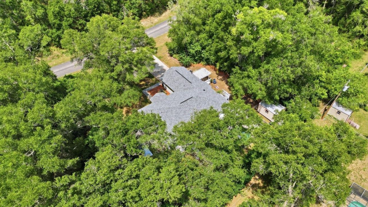 8667 N Upland Drive, Citrus Springs, FL 34434 Photo