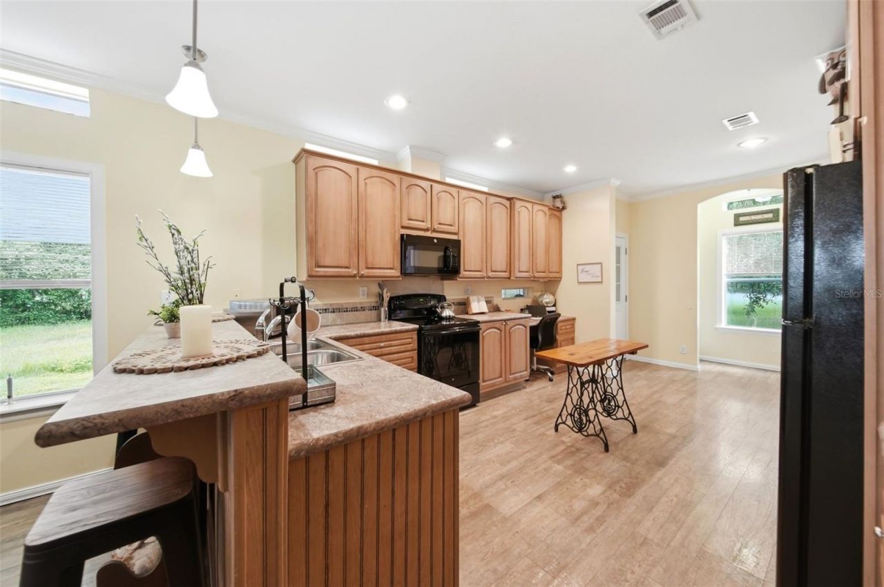 25138 Buttonwood Drive , Astatula, FL 34705 Photo