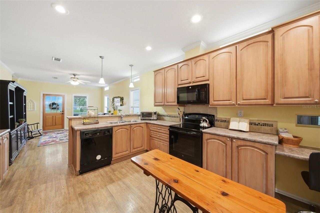 25138 Buttonwood Drive , Astatula, FL 34705 Photo