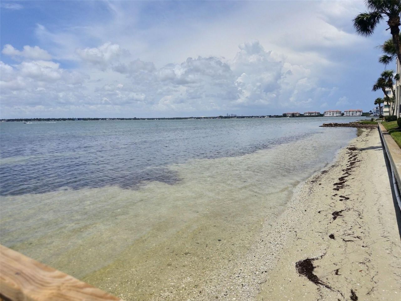 5633 Puerta Del Sol Boulevard S, Unit 307, Saint Petersburg, FL 33715 Photo