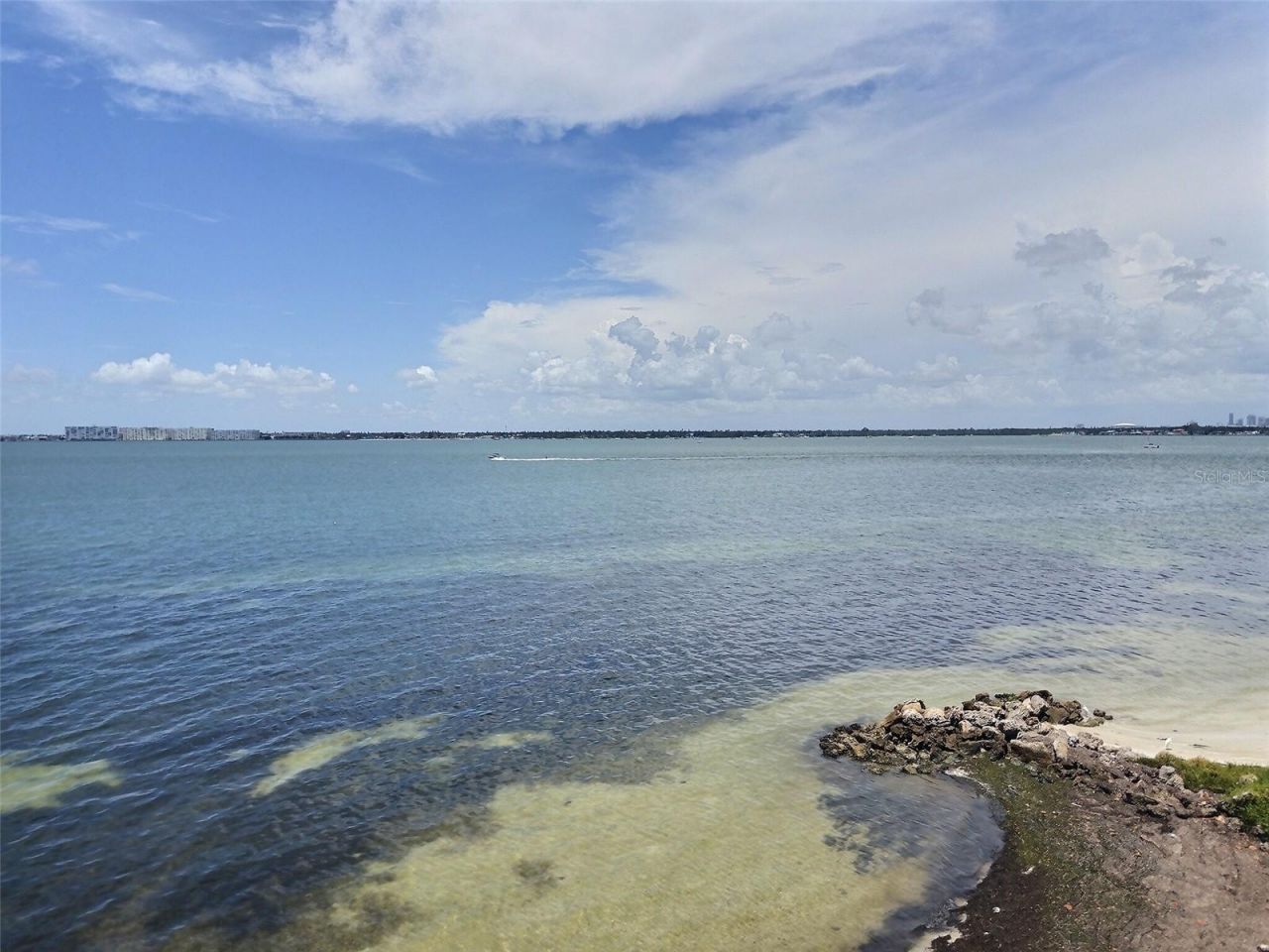 5633 Puerta Del Sol Boulevard S, Unit 307, Saint Petersburg, FL 33715 Photo