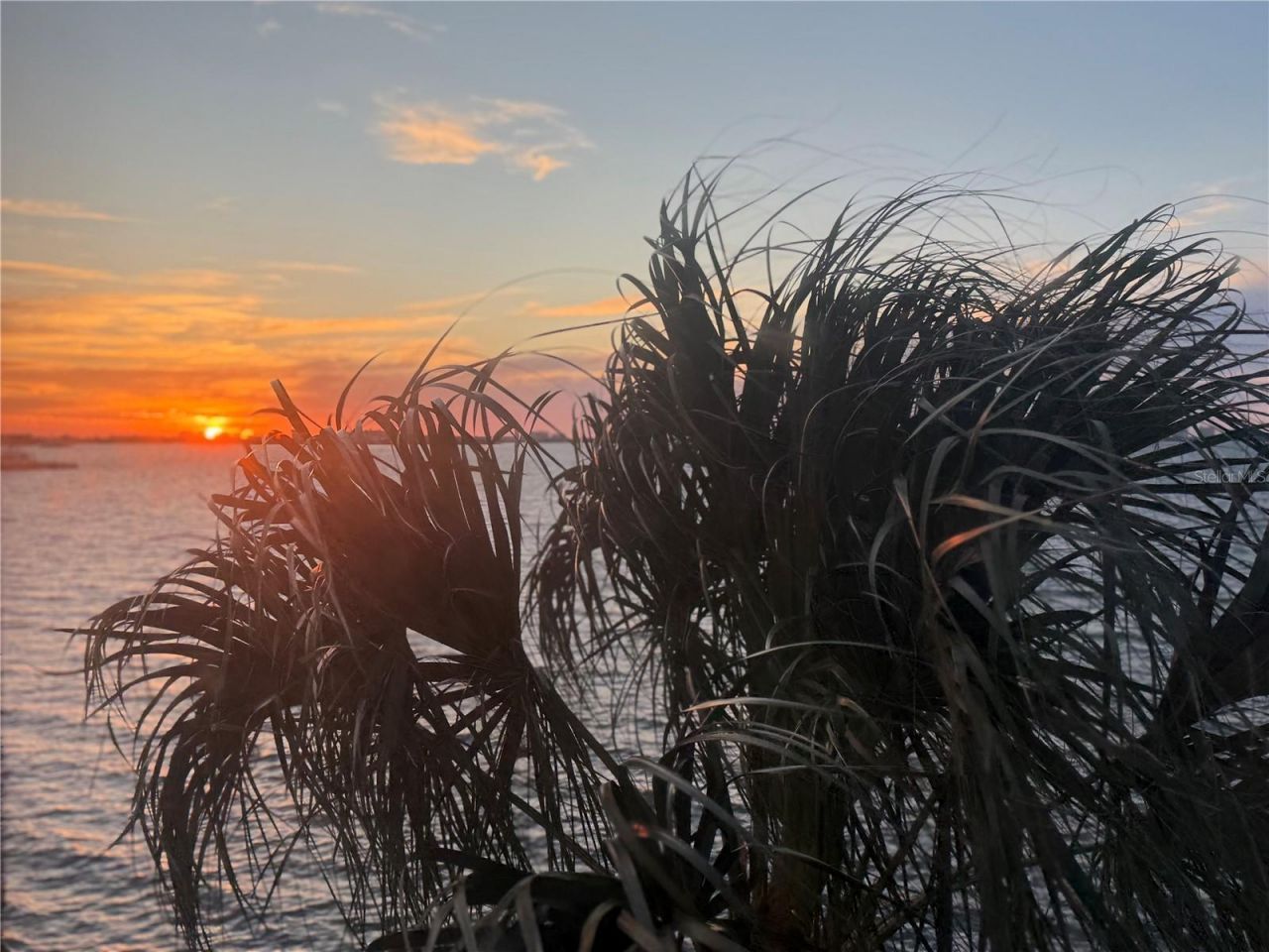 5633 Puerta Del Sol Boulevard S, Unit 307, Saint Petersburg, FL 33715 Photo