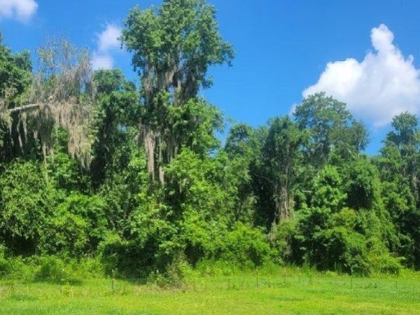TBD SR 51, Live Oak, FL 32060