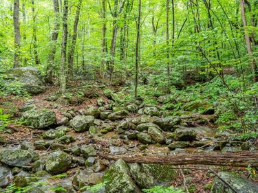 1509 SPRUCE CREEK LN , Nellysford, VA 22958