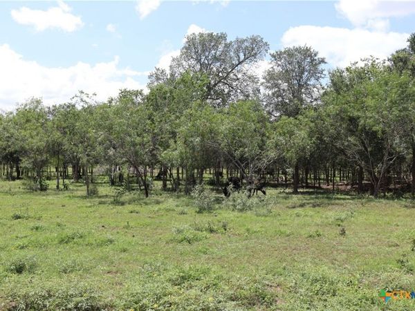 1220 Brushy Branch Road , Lockhart, TX 78644