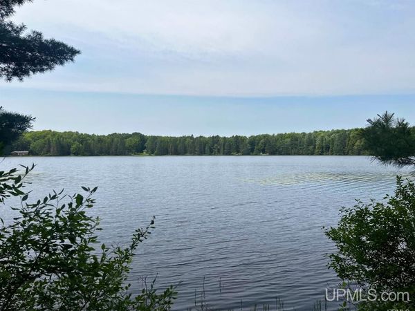 Parcel 1 Grant Lake Road, Republic Twp, MI 49879
