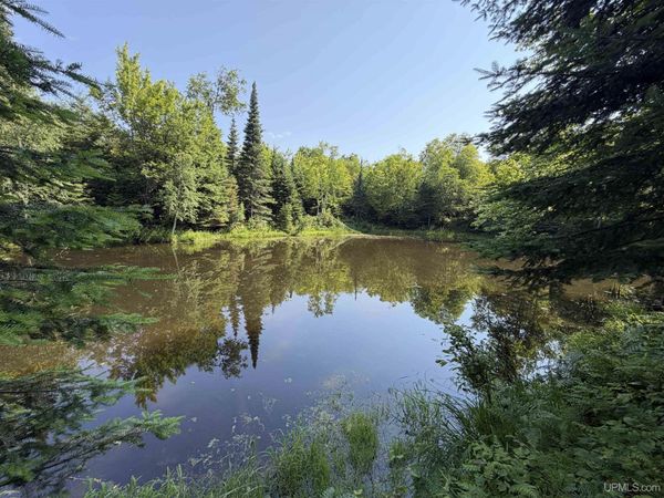 14598 Arnheim Road, Baraga Twp, MI 49958