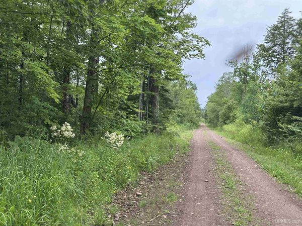 On FR 484 (aka Camp 3 Rd) Road, Wakefield Twp, MI 49968