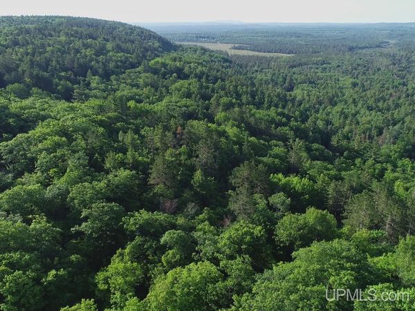 46 County AAT Road, Champion Twp, MI 49814