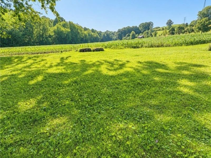 9754 Stonecreek Road, Newcomerstown, OH 43832 Photo 42