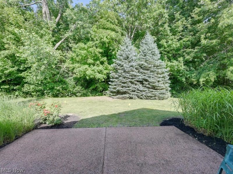 1972 Marsh Lane, Painesville Township, OH 44077 Photo 46
